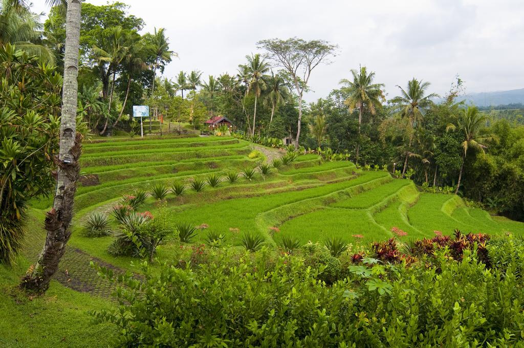 Puri Asri Hotel & Resort Magelang Exterior photo